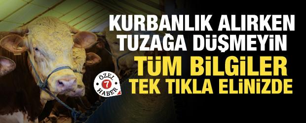 Kurban Bayramı &ouml;ncesi İstanbul&rsquo;da arz sıkıntısı yok: Denetimler 7/24 s&uuml;recek