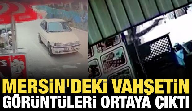 Mersin'deki vahşetin g&ouml;r&uuml;nt&uuml;leri ortaya &ccedil;ıktı: &Ouml;l&uuml; sayısı 6'ya y&uuml;kseldi