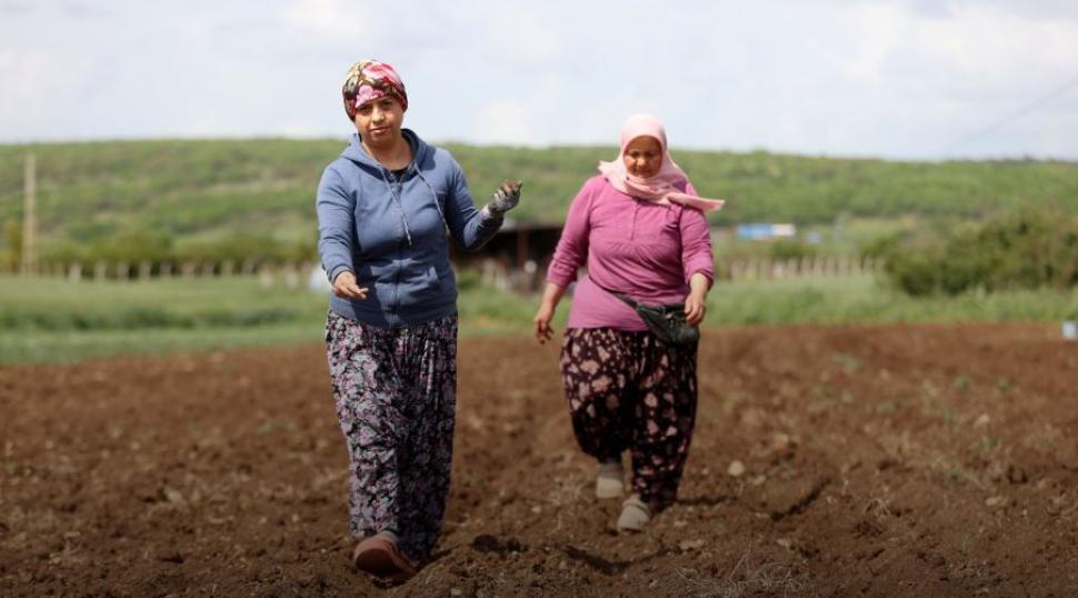 Tarladan &uuml;retime destek: Kırklareli'de kadınlar sabahın ilk ışıklarıyla tarlada!