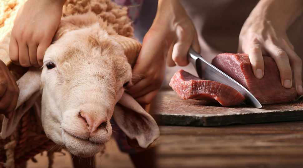 Uzman isimden uyarı: Kurban keserken bel ve kas yaralanmalarına dikkat!