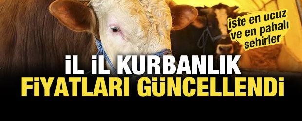 2026 il il kurbanlık fiyatları: B&uuml;y&uuml;kbaş ve k&uuml;&ccedil;&uuml;kbaş hayvanlarda en ucuz ve en pahalı şehirler