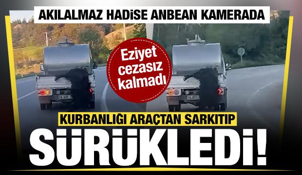Akılalmaz hadise! Kurbanlığı ara&ccedil;tan sarkıtıp kilometrelerce s&uuml;r&uuml;kledi