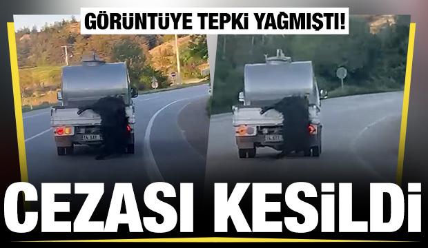 Akılalmaz hadise! Kurbanlığı ara&ccedil;tan sarkıtıp kilometrelerce s&uuml;r&uuml;kledi