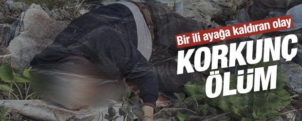 D&uuml;zce'de vahşet: Kimliği belirsiz erkek cesedi bulundu