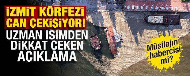 İzmit K&ouml;rfezi can &ccedil;ekişiyor! Uzman isimden dikkat &ccedil;eken a&ccedil;ıklama