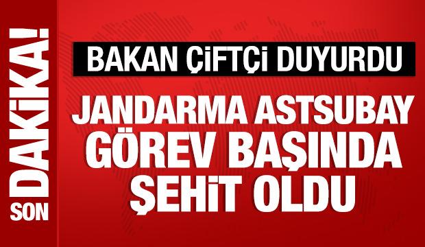 Jandarma Astsubay &Uuml;st&ccedil;avuş Yusuf Erg&uuml;n g&ouml;revi başında şehit oldu