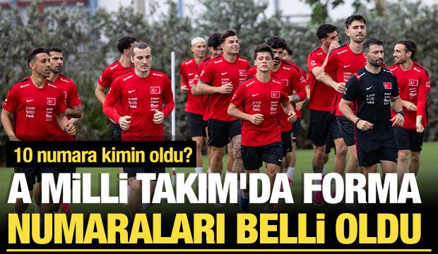 A Milli Takım'ın D&uuml;nya Kupası'ndaki forma numaraları belli oldu!