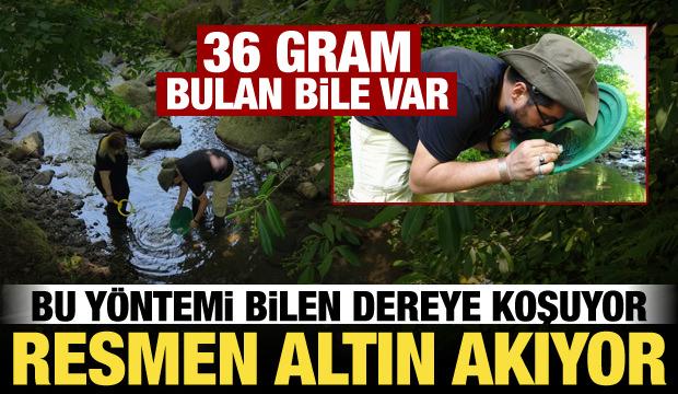 Kazı yok, delme yok... Dereden b&ouml;yle altın topluyorlar! 36 gram bulan bile var