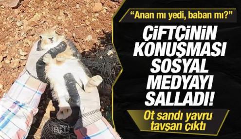 Ot sandı, yavru tavşan &ccedil;ıktı! &Ccedil;ift&ccedil;inin konuşması sosyal medyayı salladı