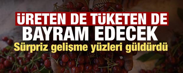 Tarımda rekor yılı: Tezgahlarda bolluk, ihracatta zirve bekleniyor