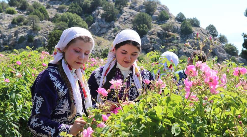 Burdur halkı tarlaya koştu! T&uuml;rk k&uuml;lt&uuml;r&uuml;n&uuml;n en &ouml;nemli değeri i&ccedil;in hasat başladı!