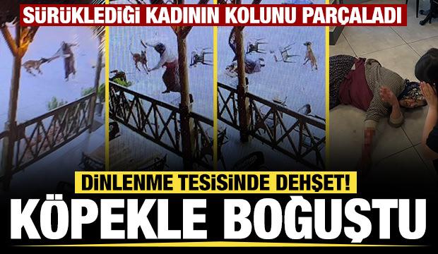 Afyonkarahisar'da k&ouml;pek dehşeti! S&uuml;r&uuml;klediği kadının kolunu kopardı