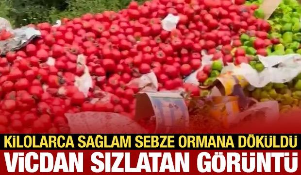 &Ccedil;anakkale'de vicdan sızlatan g&ouml;r&uuml;nt&uuml;: Kilolarca sağlam sebze ormana d&ouml;k&uuml;ld&uuml;