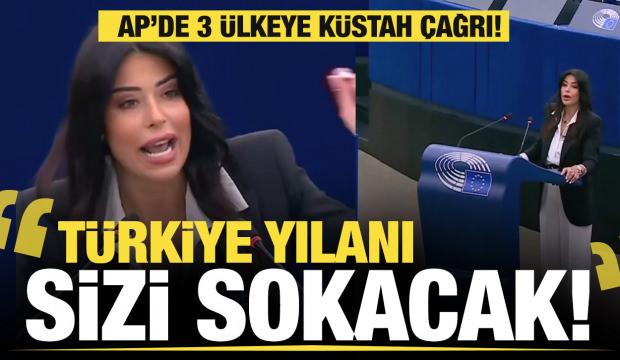 AP vekili Latinopoulou'dan 3 &uuml;lkeye k&uuml;stah &ccedil;ağrı: T&uuml;rkiye yılanı sizi sokacak!