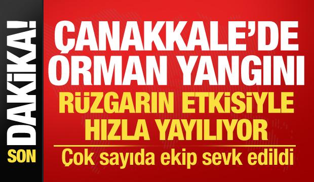 &Ccedil;anakkale'de korkutan orman yangını! Alevler kısa s&uuml;rede yayıldı