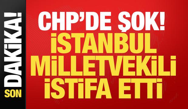 CHP'li vekil Nimet &Ouml;zdemir partisinden istifa etti!