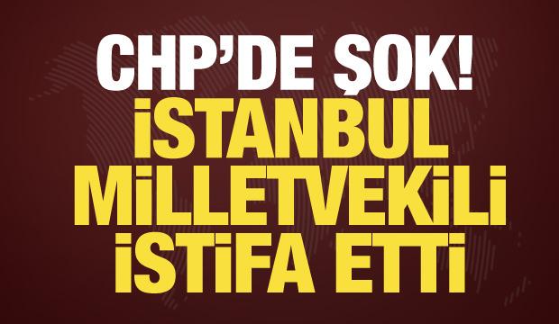 CHP'li vekil Nimet &Ouml;zdemir partisinden istifa etti!