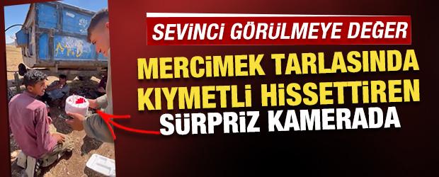 Kavurucu sıcak altında s&uuml;rpriz! Sevinci g&ouml;r&uuml;lmeye değer