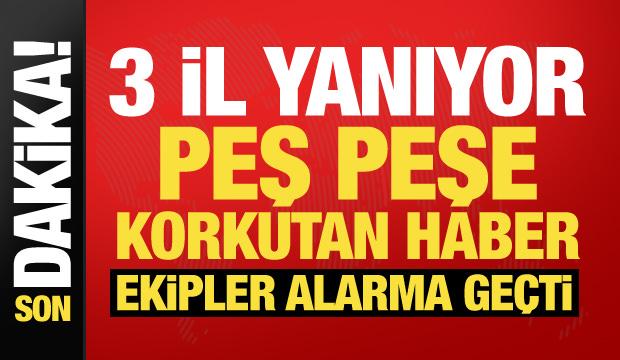 Antalya, &Ccedil;anakkale ve Balıkesir'de orman yangını! &Ccedil;ok sayıda ekip sevk edildi