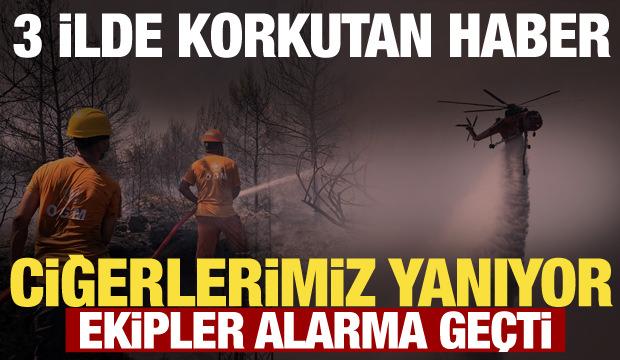 Antalya, &Ccedil;anakkale ve Balıkesir'de orman yangını! &Ccedil;ok sayıda ekip sevk edildi