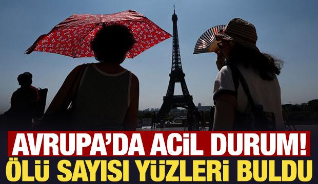 Avrupa'da rekor sıcaklıklar: &Ouml;l&uuml; sayısı y&uuml;zleri buldu