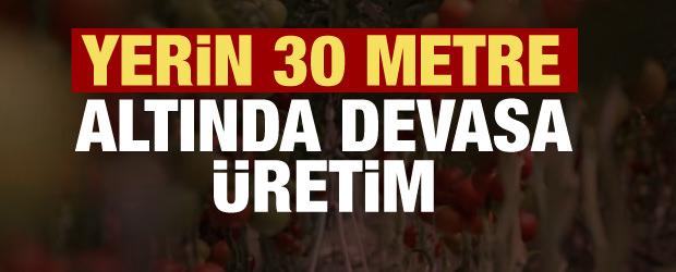 İstanbul'da ezber bozan yatırım: Yılda tam 12 kez hasat yapıyorlar!