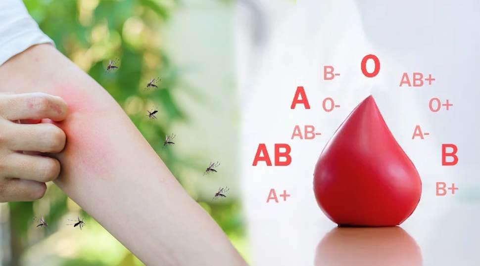 Sivrisinekler en &ccedil;ok bu kan grubunu ısırıyor! Araştırma sonucu şaşırttı