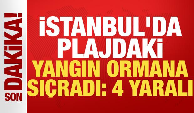 4 kişi yaralandı: İstanbul'da plajdaki yangın ormana sı&ccedil;radı