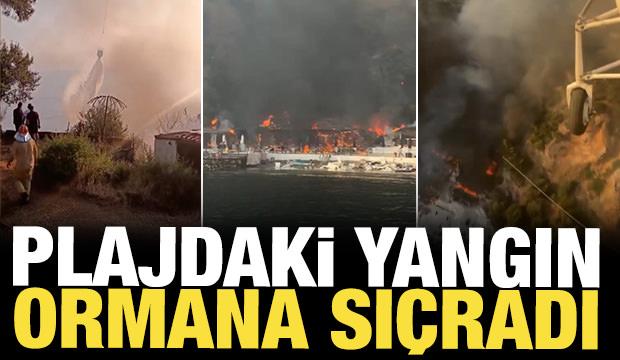 4 kişi yaralandı: İstanbul'da plajdaki yangın ormana sı&ccedil;radı