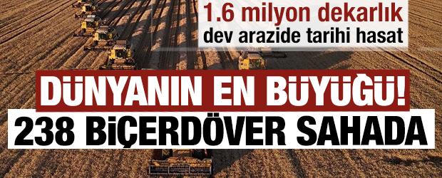 D&uuml;nyanın en b&uuml;y&uuml;ğ&uuml;! 1.6 milyon dekarlık dev arazide tarihi hasat: 238 bi&ccedil;erd&ouml;ver sahada