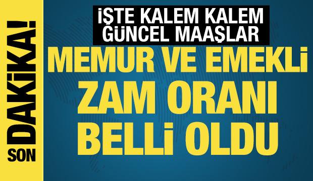 Memur ve memur emeklisinin beklediği zam oranı belli oldu! İşte g&uuml;ncel maaşlar