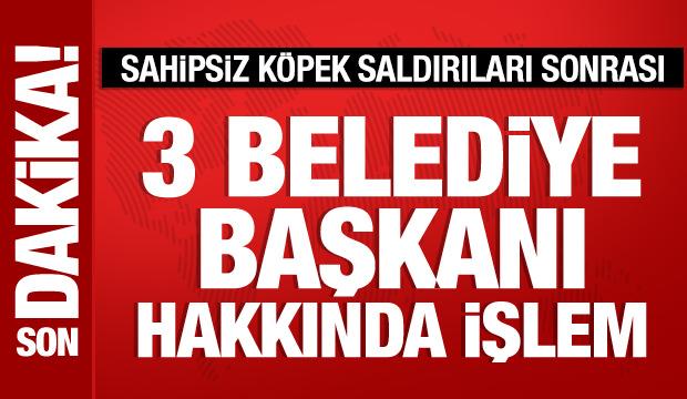 Sahipsiz k&ouml;pek saldırıları sonrası 3 belediye başkanı hakkında işlem