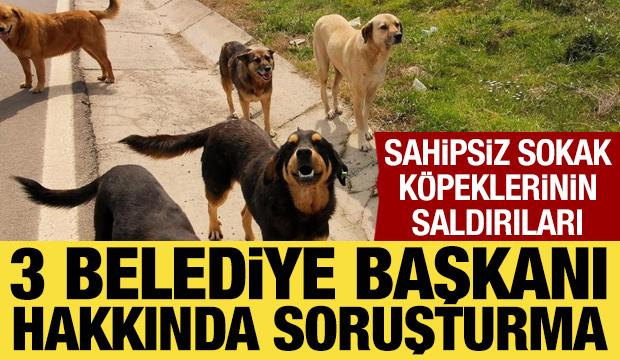 Sahipsiz k&ouml;pek saldırıları sonrası 3 belediye başkanı hakkında işlem