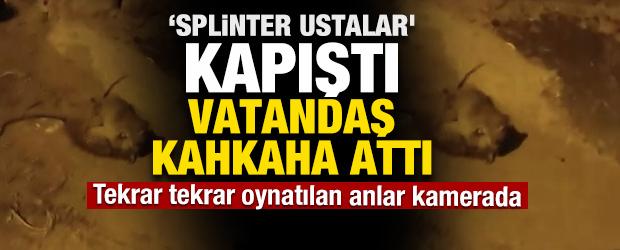 Vatandaş &ouml;yle bir g&ouml;r&uuml;nt&uuml; kaydetti ki! Tekrar tekrar oynatıldı 