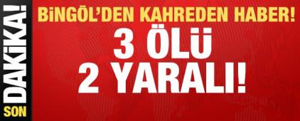 Bing&ouml;l'de katliam gibi kaza: &Ccedil;ok sayıda &ouml;l&uuml; ve yaralı var!