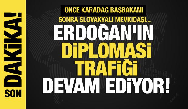 Son dakika...Cumhurbaşkanı Erdoğan, Karadağ Başbakanı Spajic'i kabul etti