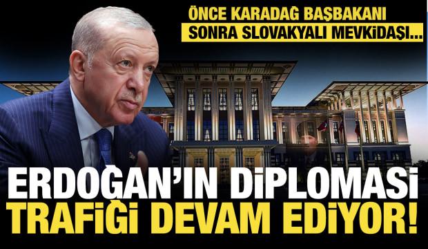 Son dakika...Başkan Erdoğan&rsquo;ın diplomasi trafiği devam ediyor!