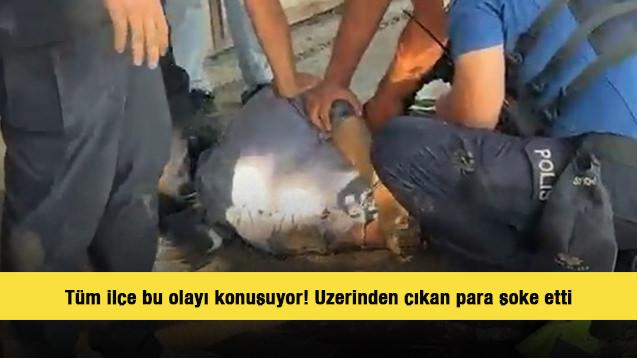 Akli dengesi yerinde olamayan adamın &uuml;zerinden &ccedil;ıkan para şoke etti