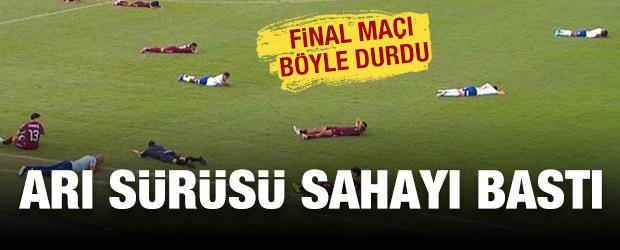 Arı s&uuml;r&uuml;s&uuml; sahayı bastı: Final ma&ccedil;ı b&ouml;yle durdu