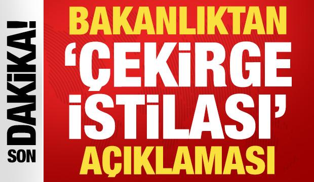 Bakanlıktan &ccedil;ekirge istilası a&ccedil;ıklaması: S&ouml;z konusu değil