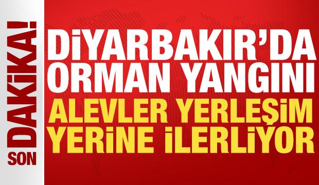 Diyarbakır&rsquo;da orman yangını: Alevler yerleşim yerine ilerliyor
