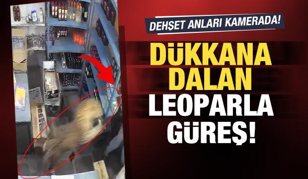 Hindistan'da dehşet anları: D&uuml;kkana dalan leoparla &ouml;l&uuml;m kalım savaşı