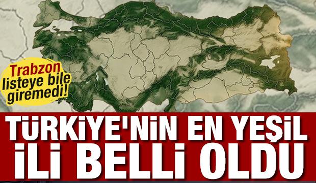 Trabzon listeye bile giremedi! T&uuml;rkiye'nin en yeşil ili belli oldu
