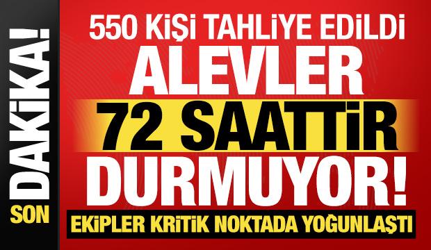 Aydın'da orman yangınlarının 3. g&uuml;n&uuml;! M&uuml;dahale s&uuml;r&uuml;yor