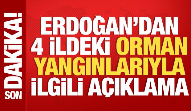 Cumhurbaşkanı Erdoğan'dan orman yangınlarıyla ilgili a&ccedil;ıklama