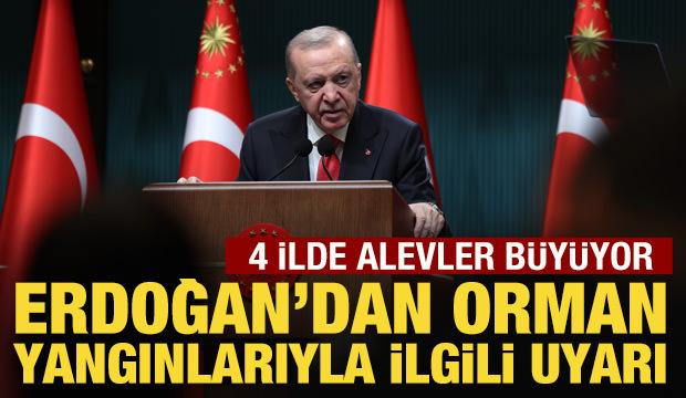 Cumhurbaşkanı Erdoğan'dan orman yangınlarıyla ilgili a&ccedil;ıklama