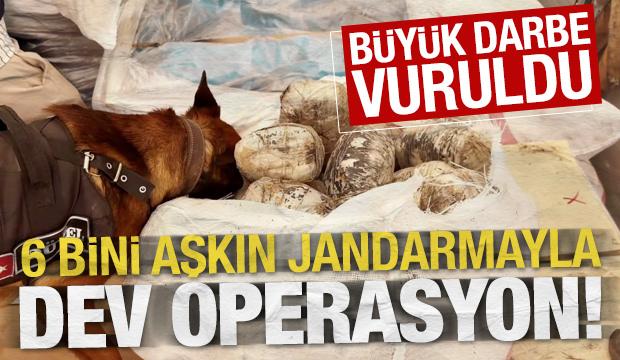 Jandarmadan 24 ilde dev narkotik darbesi: 138 ş&uuml;pheli yakalandı