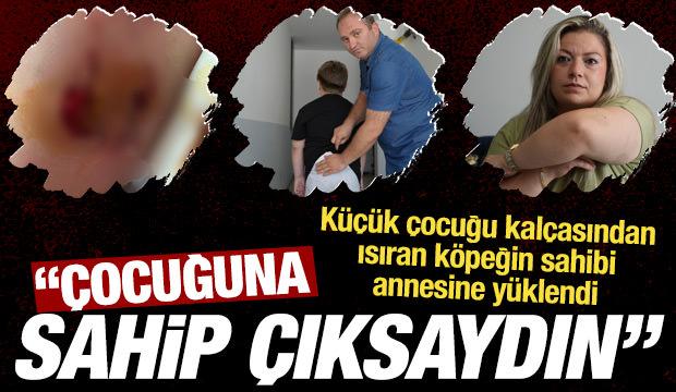 K&uuml;&ccedil;&uuml;k &ccedil;ocuğu kal&ccedil;asından ısıran k&ouml;peğin sahibi anneye y&uuml;klendi: &Ccedil;ocuğuna sahip &ccedil;ıksaydın