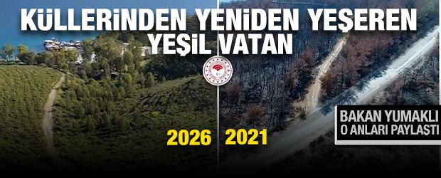 K&uuml;llerinden yeniden yeşeren Yeşil Vatan: Bakan Yumaklı o anları paylaştı