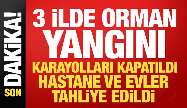 Muğla, Balıkesir ve Antalya'da orman yangını! Alevler kontrolden &ccedil;ıktı, karayolu kapatıldı